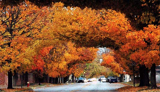 New Harmony, Indiana